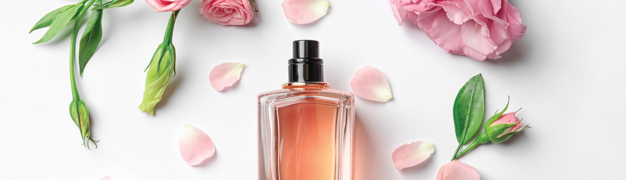 Beauty and Fragrance - Kingdom Centre